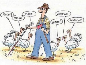 Funny Thanksgiving Images 2022 | Funny Happy Thanksgiving Photos