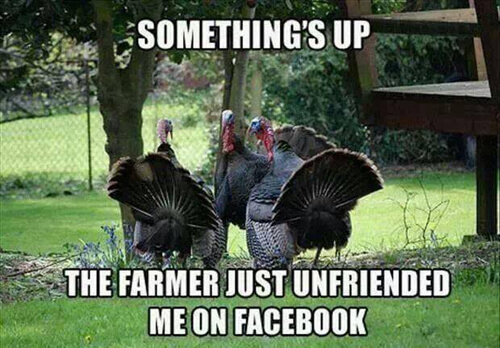 Happy Thanksgiving Funny Pics