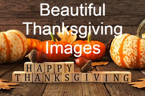 Beautiful Thanksgiving Photos